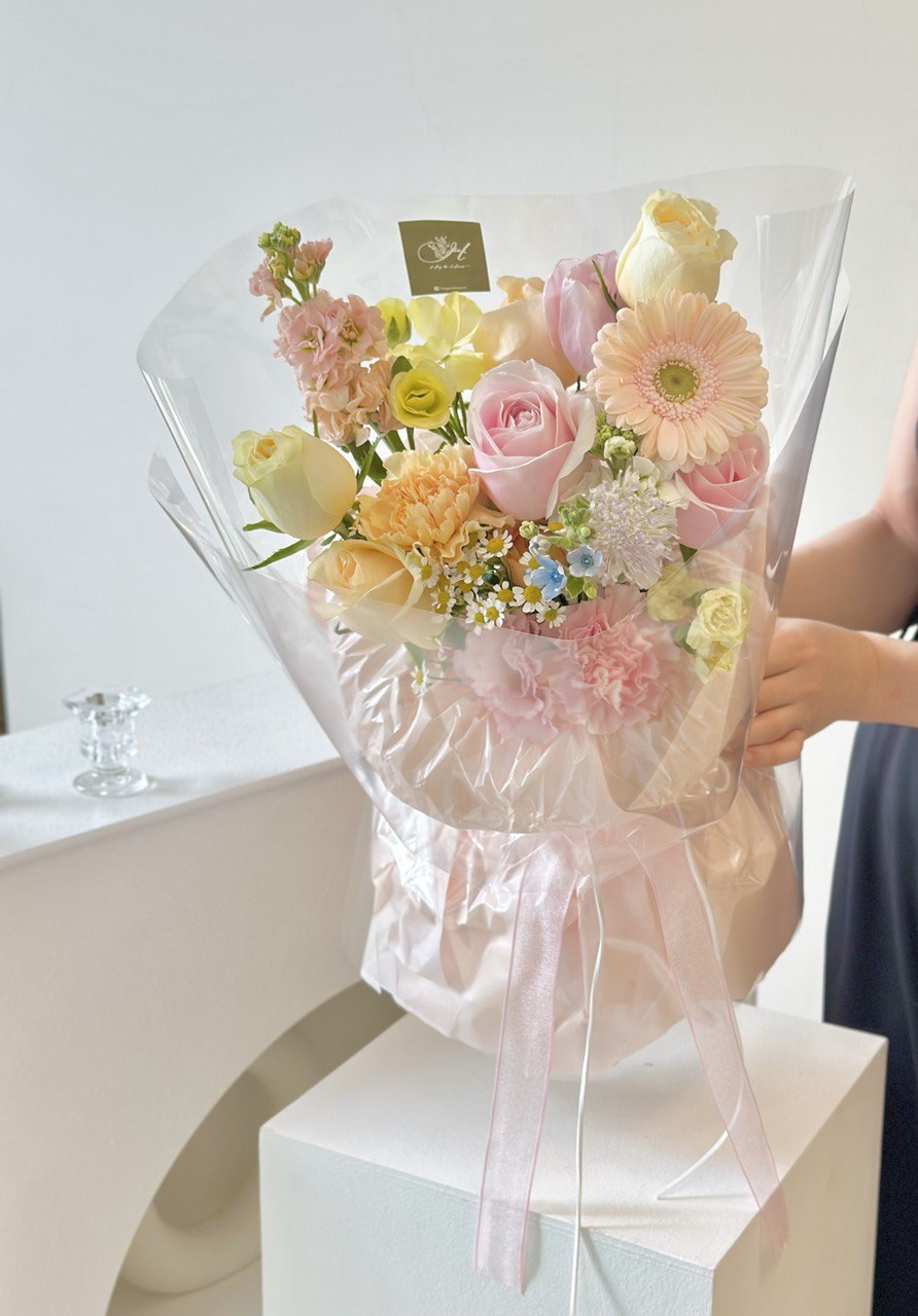 Lauv Gerbera