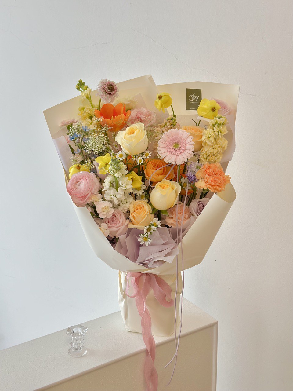 Stella Gerbera
