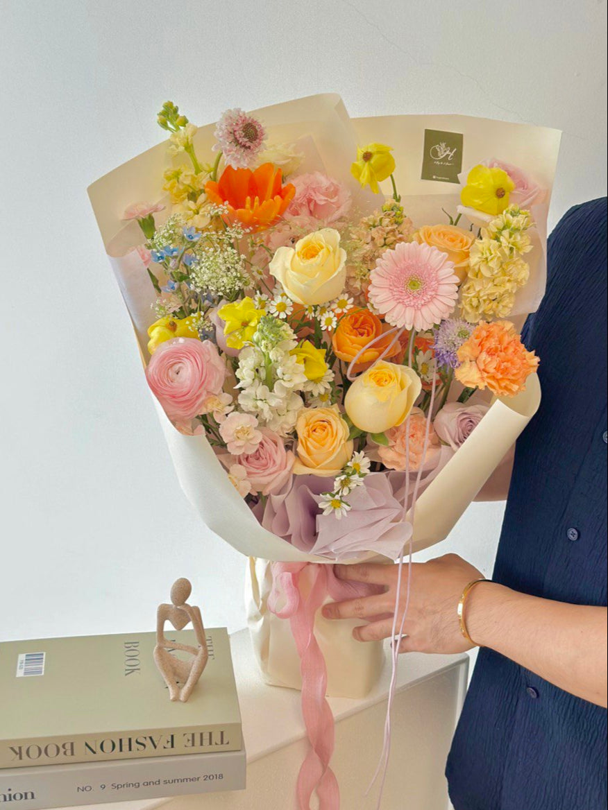 Stella Gerbera