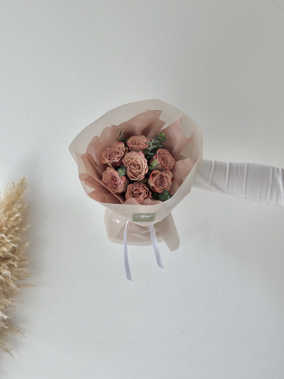 Dhanielle Cappuccino Rose