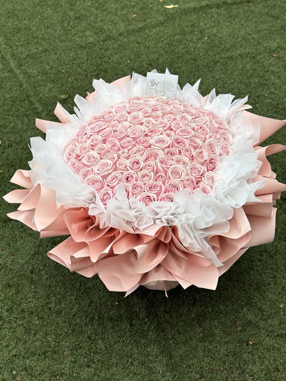 99 pink roses perfect for proposal flower.