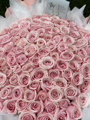 A close up shoot of 99 pink proposal roses.