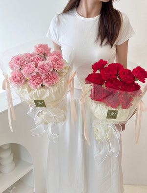 Person holding two bouquets of pink and red carnations on a white background perfect gift for mother's day.