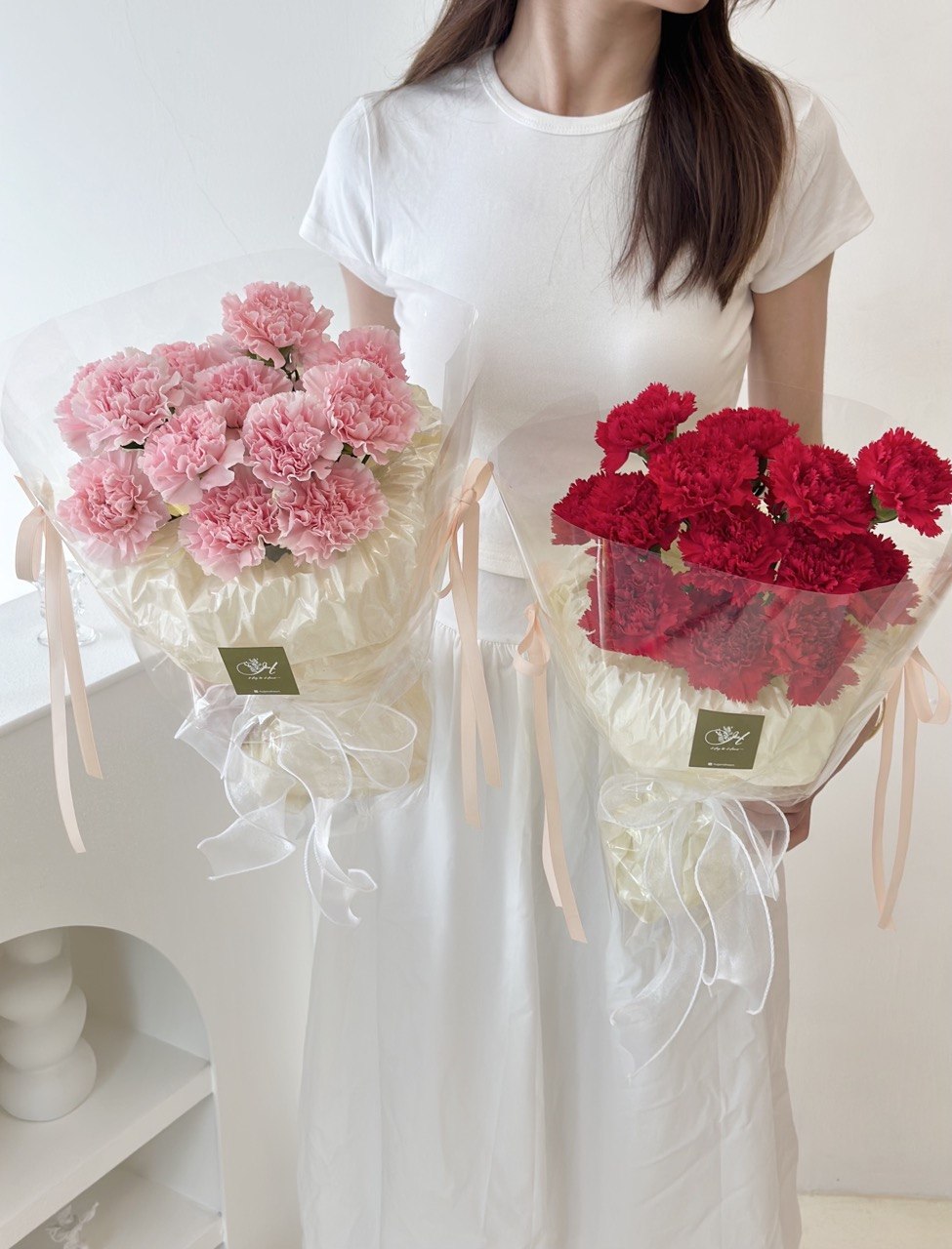 Person holding two bouquets of pink and red carnations on a white background perfect gift for mother's day.