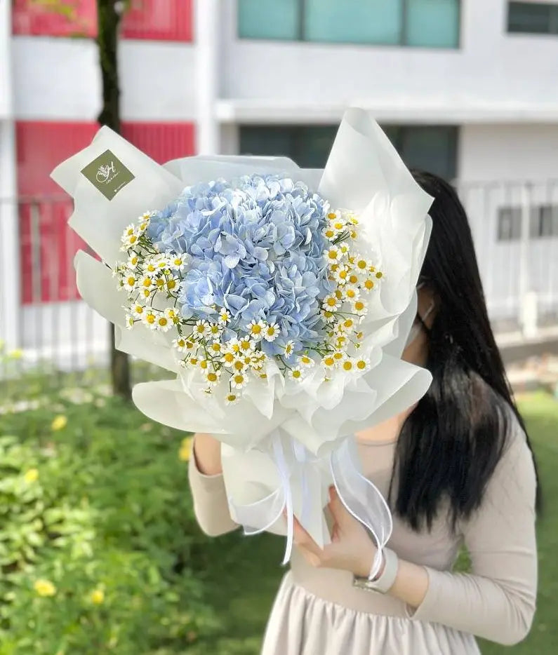 Butterfly Hydrangea with Chamomile