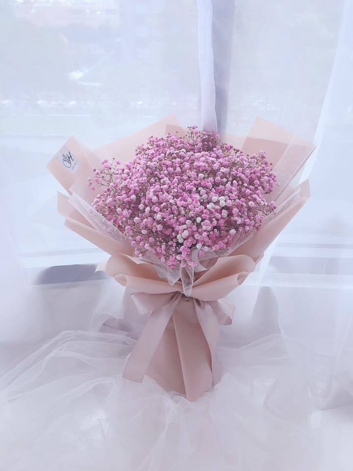 Pink Baby Breath