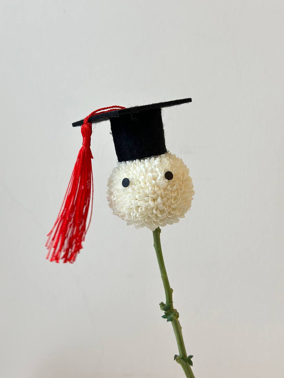 Ping Pong with Graduation Hat