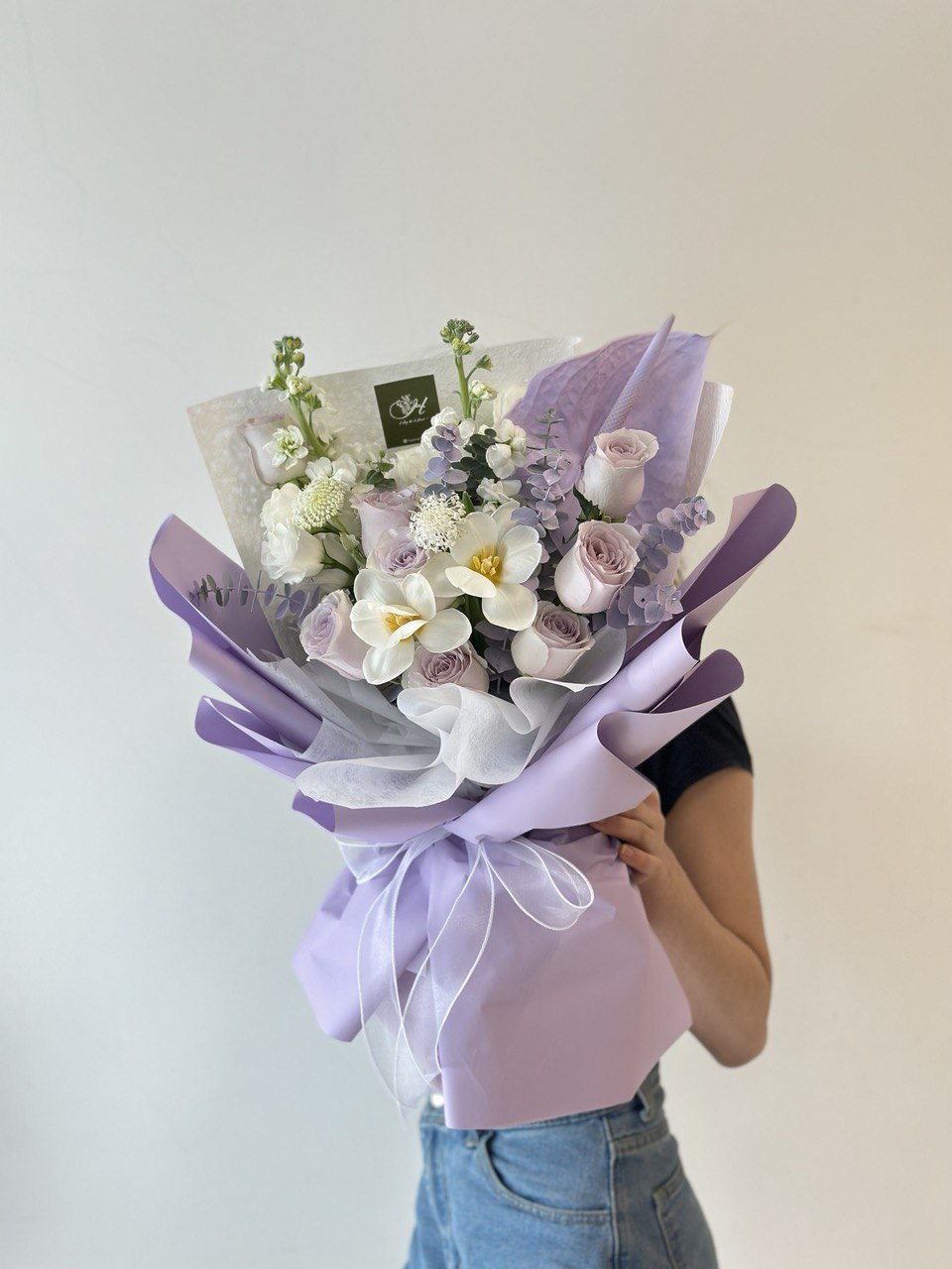 Isabel Lilac Rose